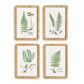 Forest Fern Prints - 4 Styles