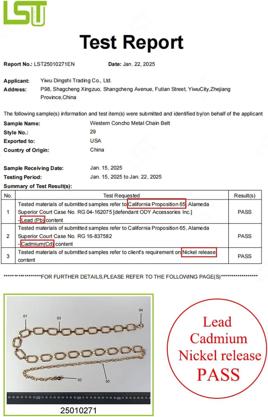 TOPACC Metal Link Chain Belt for Women Waist Chains Chunky Thick Chain Belt for Dresses Jeans